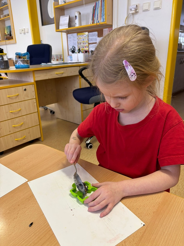 Kočičky a téma Ptáčci v zimě