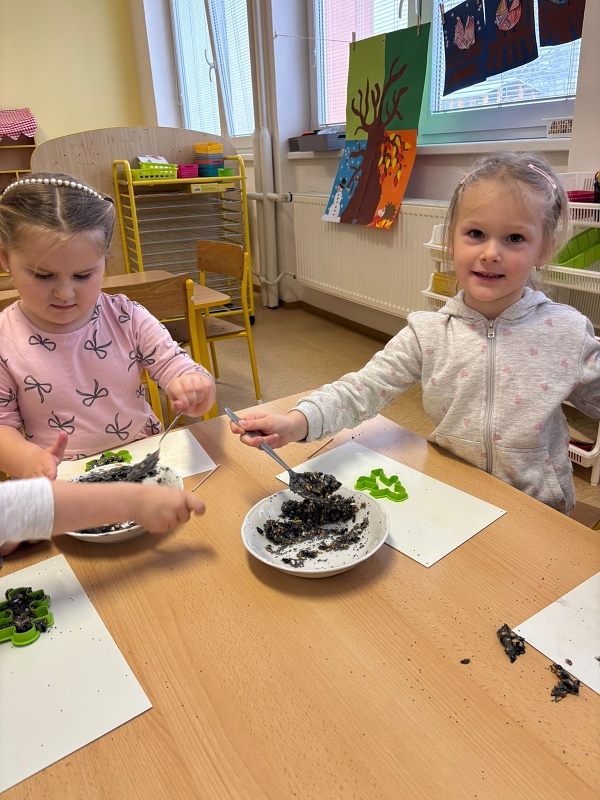 Kočičky a téma Ptáčci v zimě