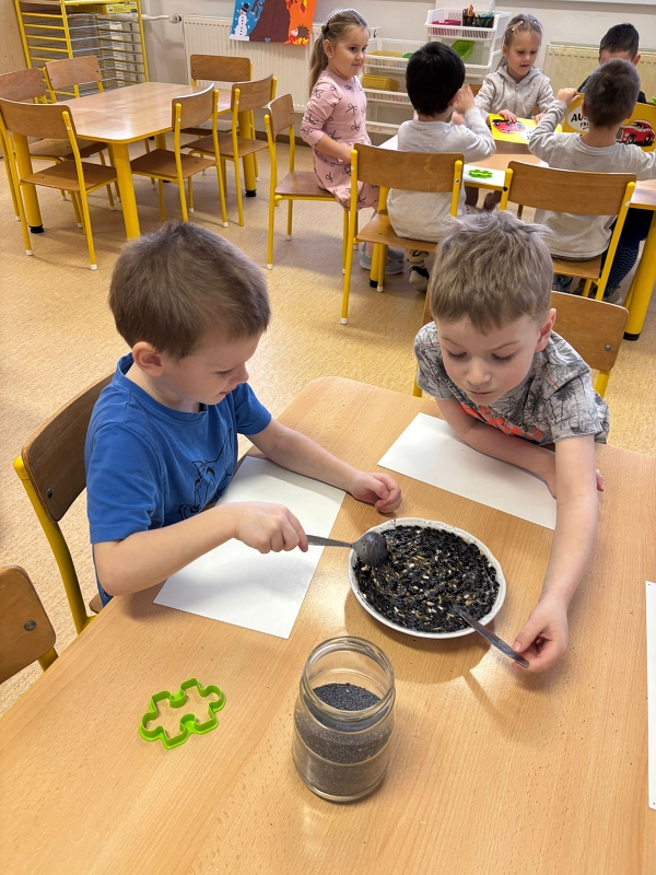 Kočičky a téma Ptáčci v zimě