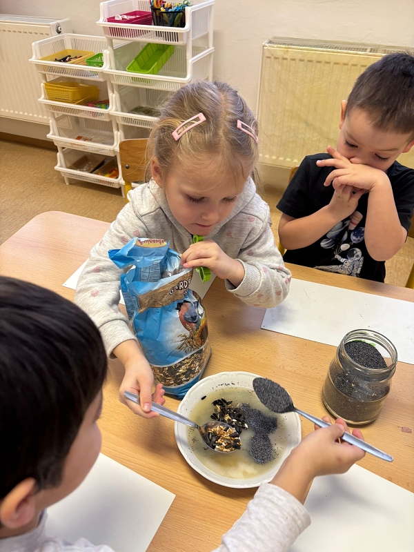 Kočičky a téma Ptáčci v zimě