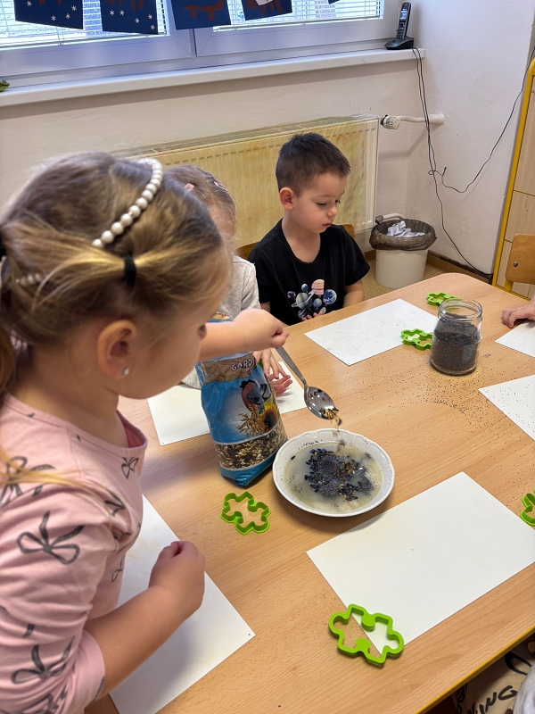 Kočičky a téma Ptáčci v zimě