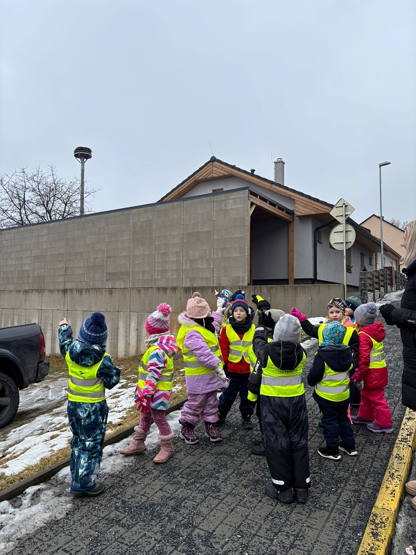 Kočičky a téma Ptáčci v zimě