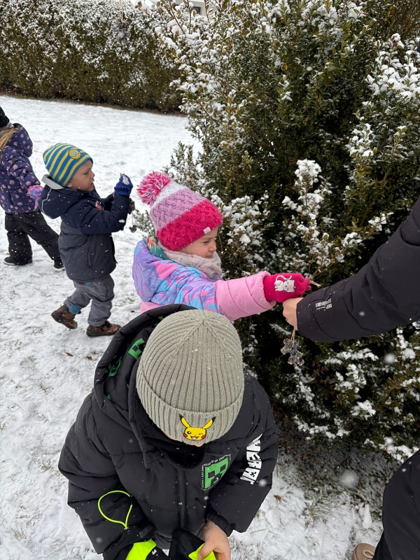 Kočičky a téma Ptáčci v zimě