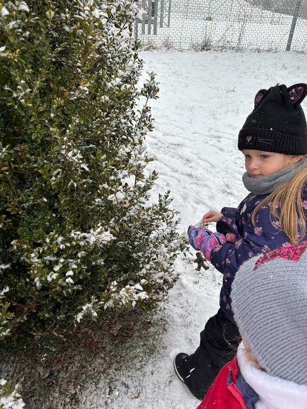 Kočičky a téma Ptáčci v zimě