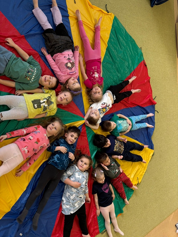 Kočičky a téma Ptáčci v zimě