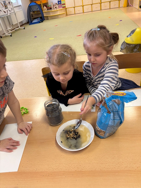 Kočičky a téma Ptáčci v zimě