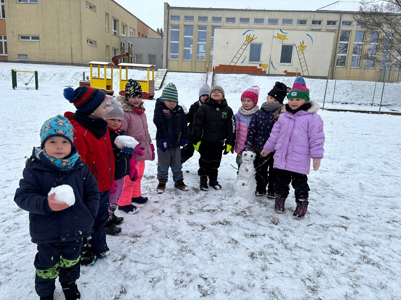 Kočičky a téma Ptáčci v zimě