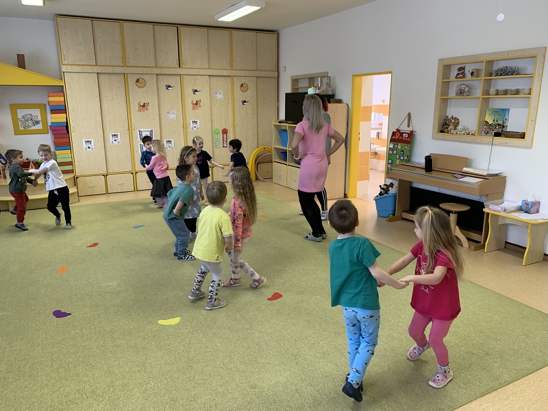 Kočičky a téma Ptáčci v zimě