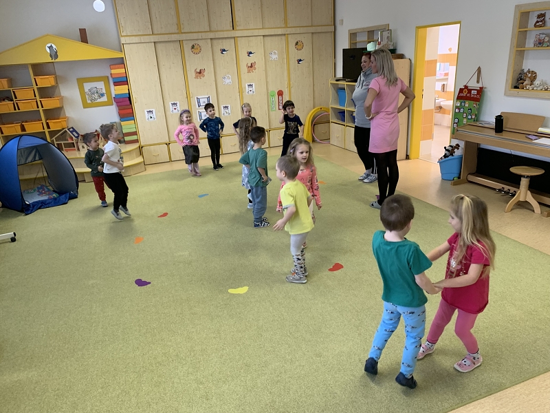 Kočičky a téma Ptáčci v zimě