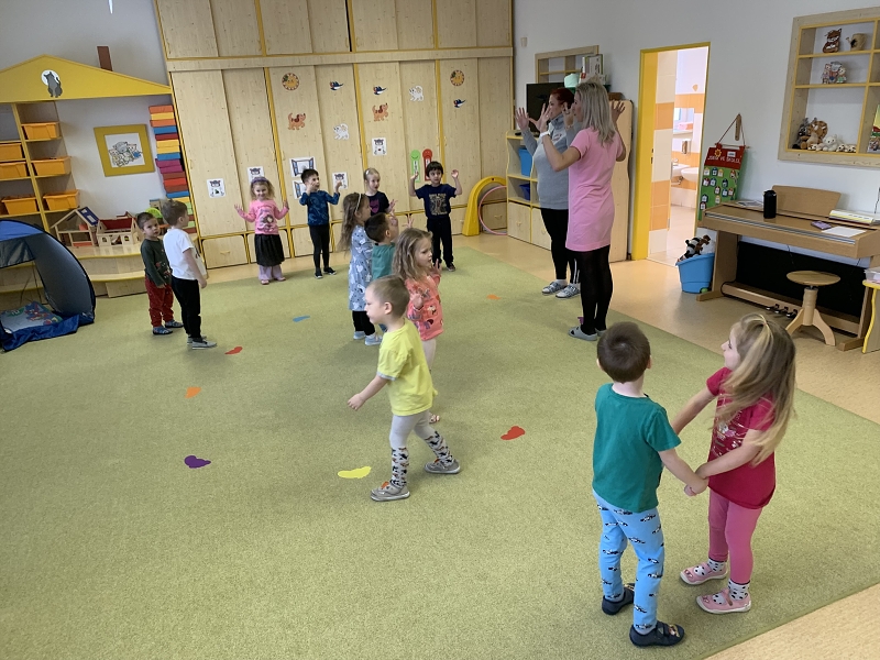 Kočičky a téma Ptáčci v zimě