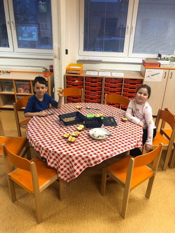 Opičky a téma Ptáčci