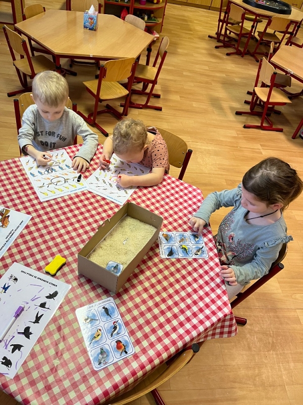 Ptáčci v Broučcích