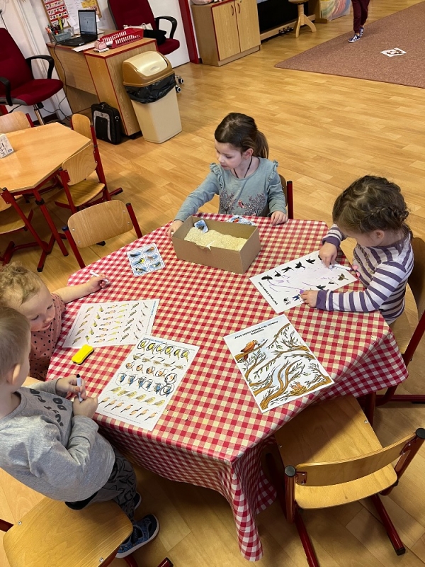 Ptáčci v Broučcích