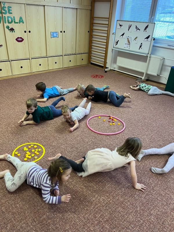 Ptáčci v Broučcích