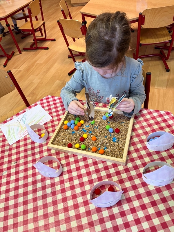 Ptáčci v Broučcích