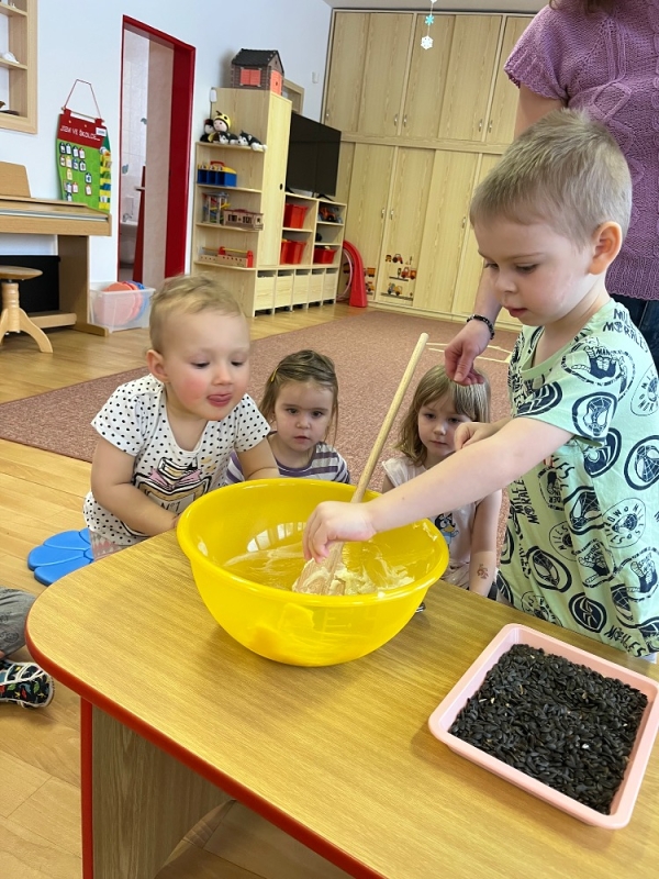 Ptáčci v Broučcích