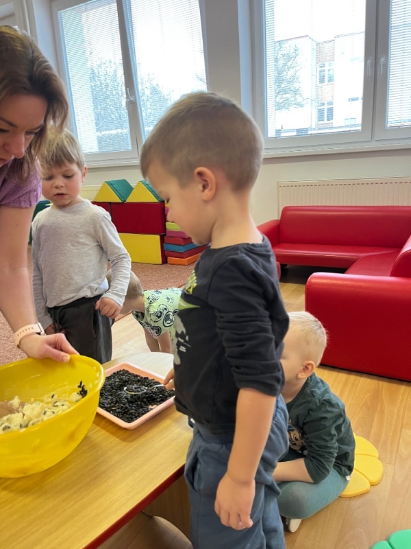 Ptáčci v Broučcích