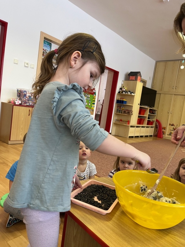 Ptáčci v Broučcích