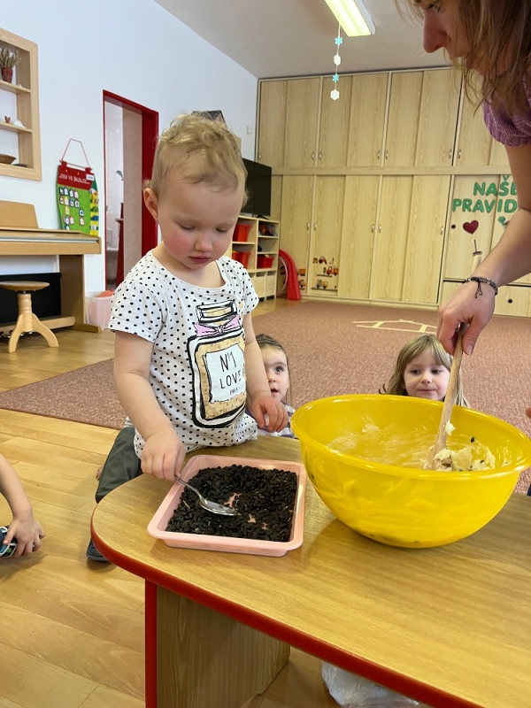 Ptáčci v Broučcích