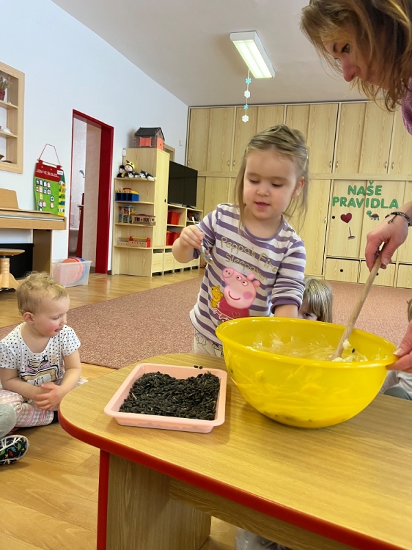 Ptáčci v Broučcích