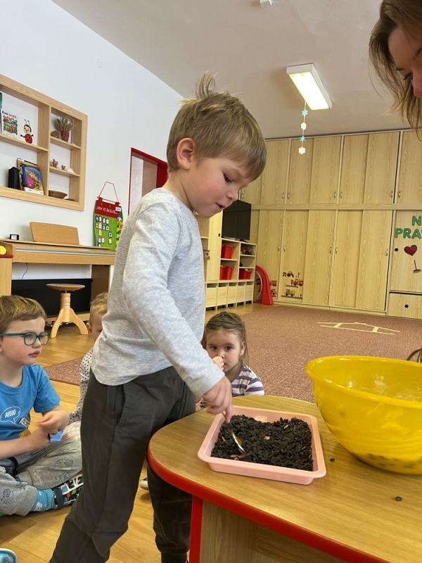 Ptáčci v Broučcích