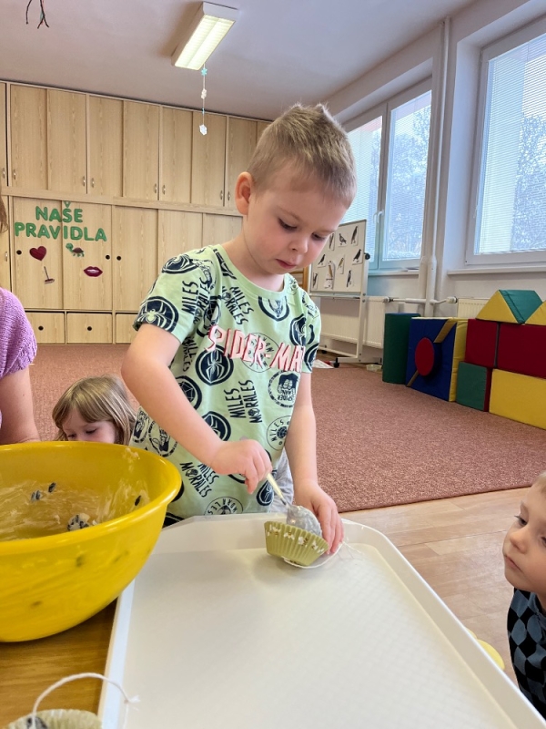 Ptáčci v Broučcích