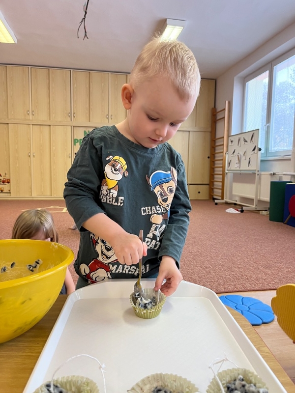 Ptáčci v Broučcích