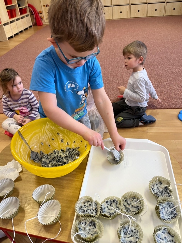 Ptáčci v Broučcích