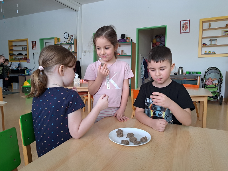 Masopustní veselí ve Veverkách