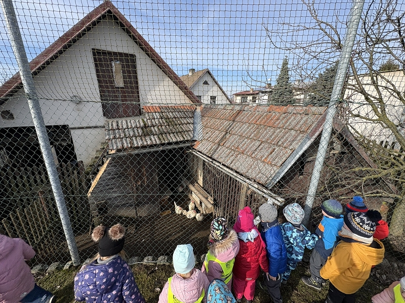 O Kohoutkovi a slepičce - Kočičky