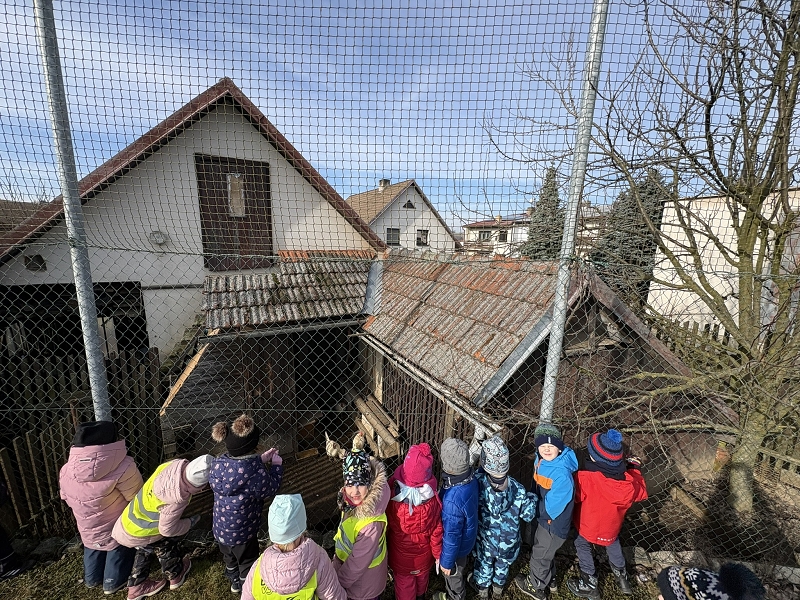 O Kohoutkovi a slepičce - Kočičky