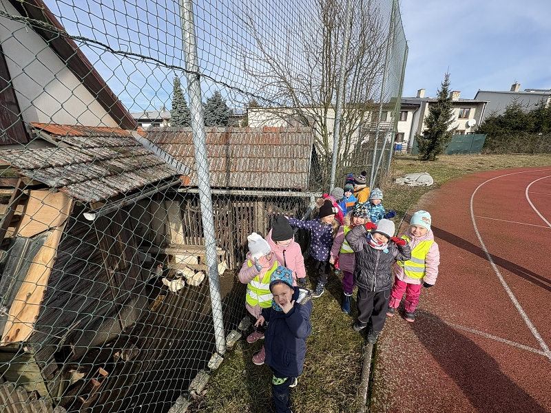 O Kohoutkovi a slepičce - Kočičky