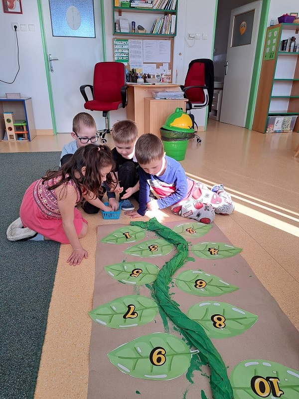 O kouzelné fazoli a dalších semínkách ve třídě Veverek