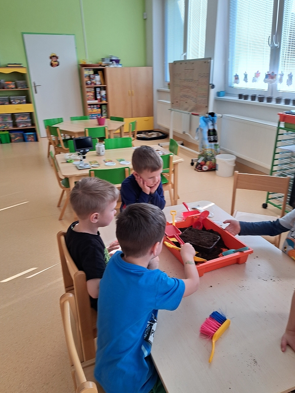 O kouzelné fazoli a dalších semínkách ve třídě Veverek