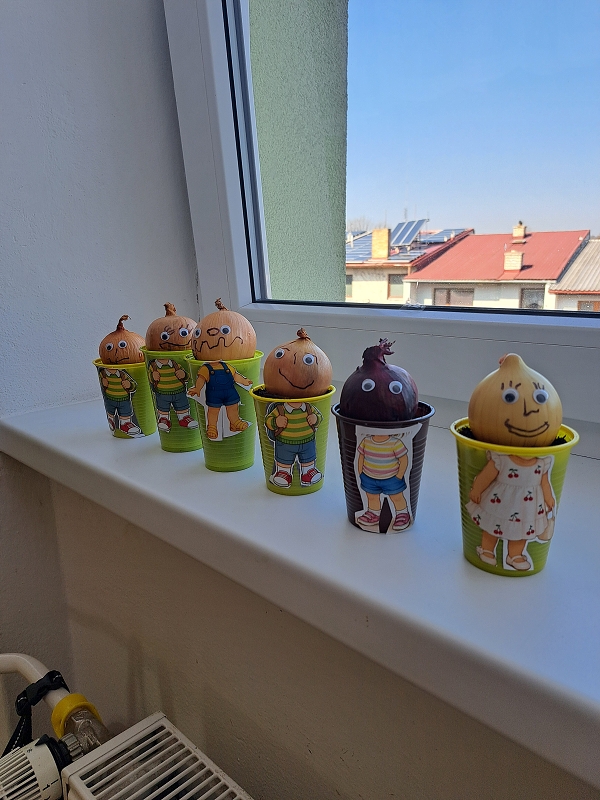 O kouzelné fazoli a dalších semínkách ve třídě Veverek
