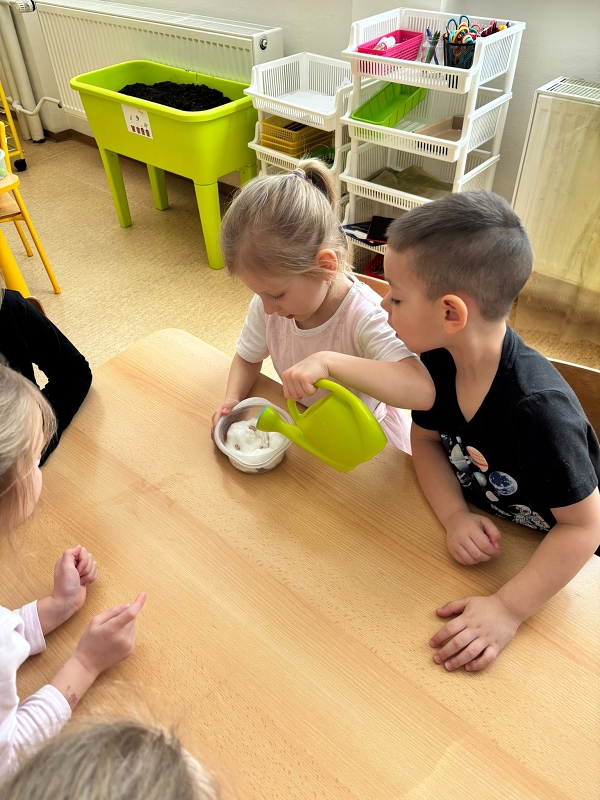 Vstávej semínko holala - Kočičky
