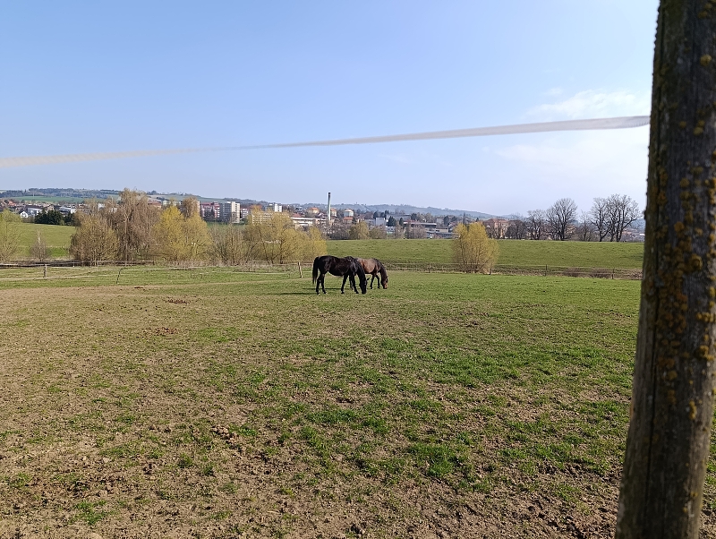 Broučci na půldenní procházce