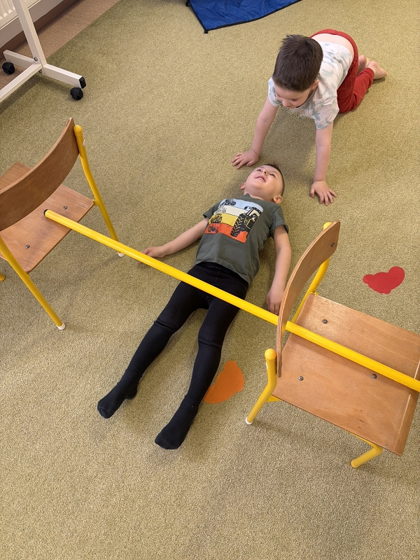 Kočičky cvičí