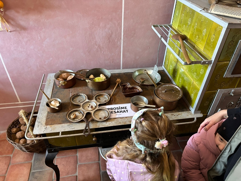 Kočičky na prohlídce Edenu