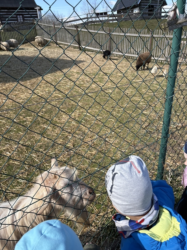 Vycházka na Eden za zvířátky