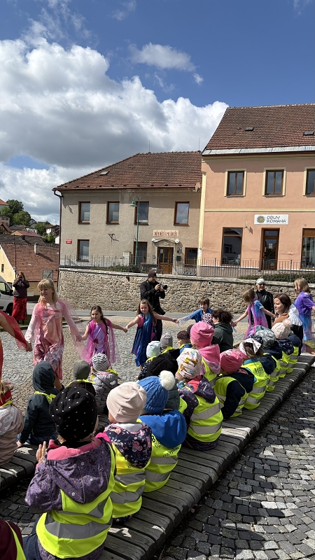 Kočičky na módní přehlídce
