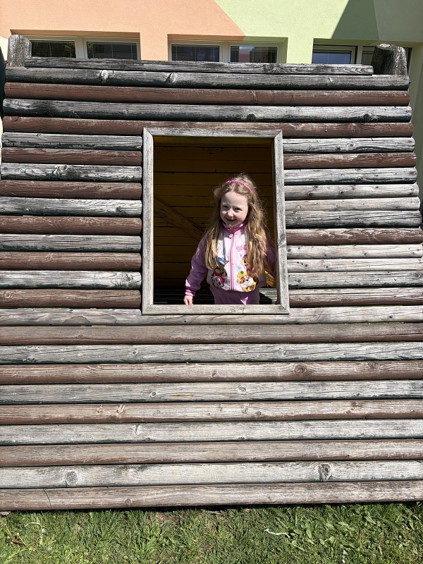 Kočičky na zahradě