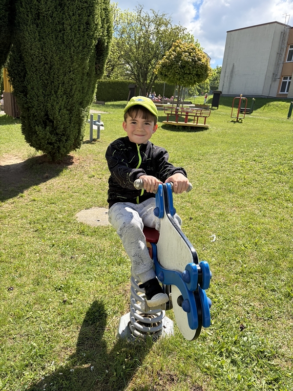 Kočičky na zahradě