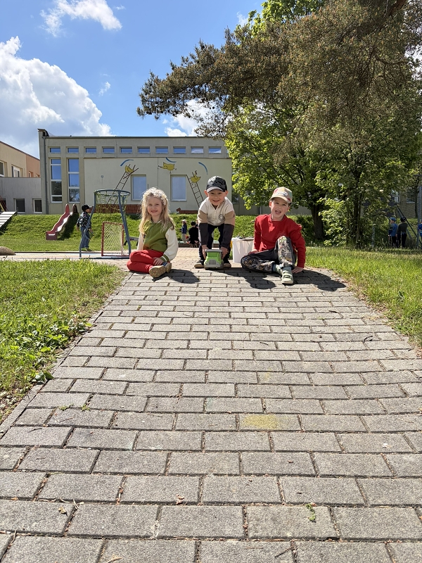 Kočičky na zahradě