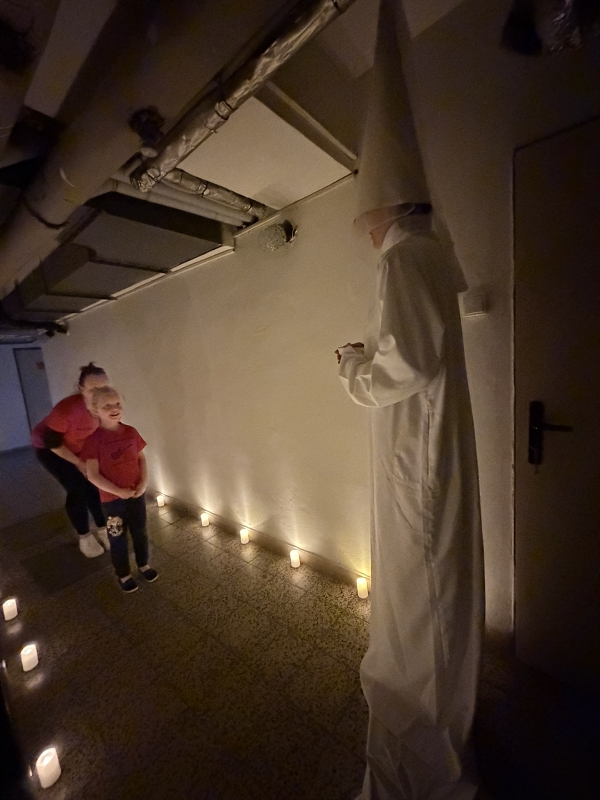 Nocování