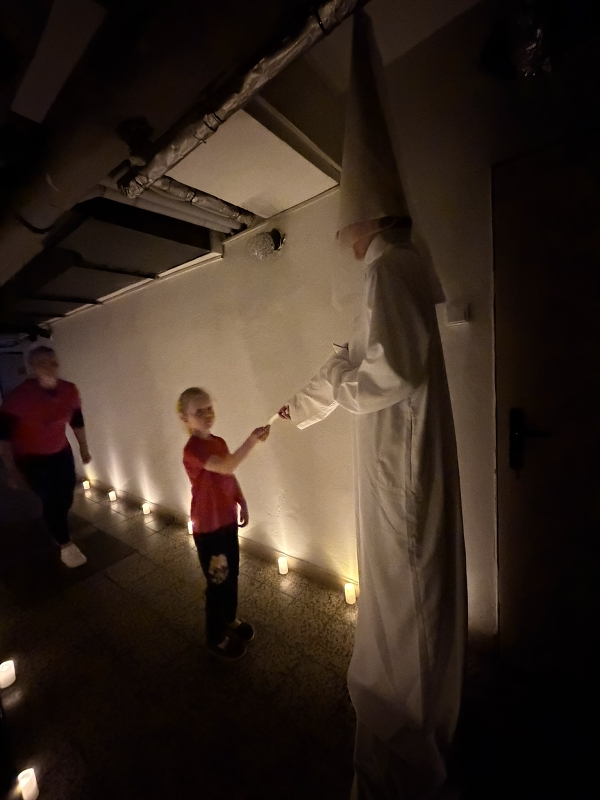 Nocování