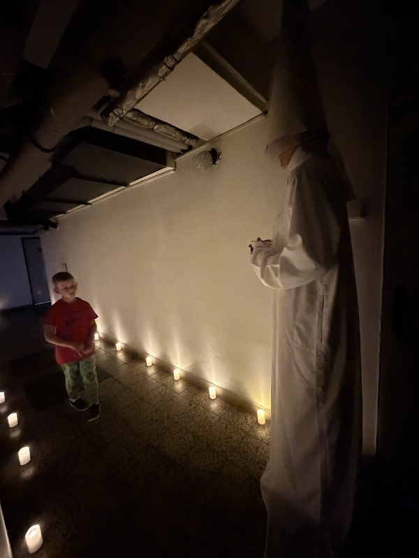 Nocování