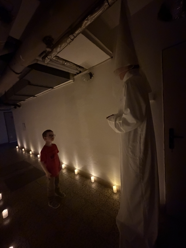 Nocování