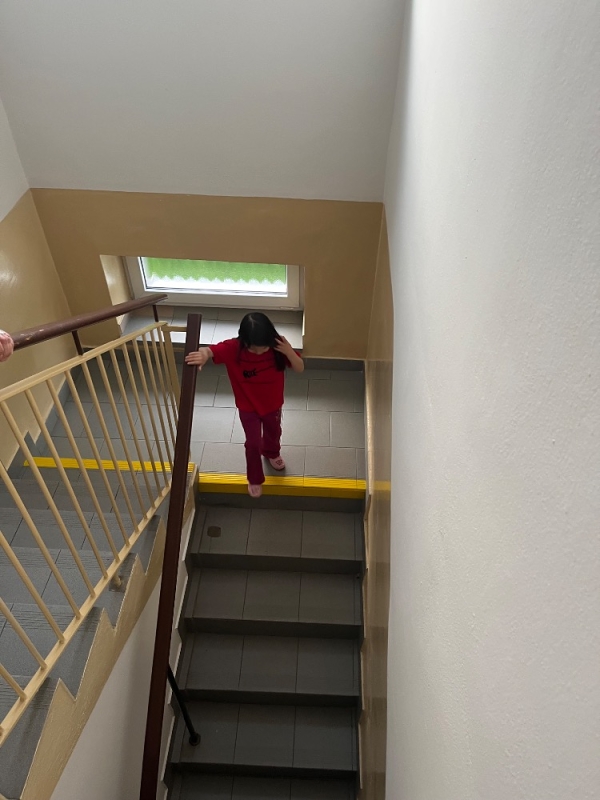Nocování