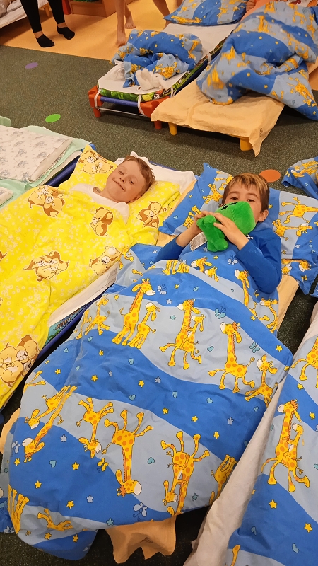 Nocování